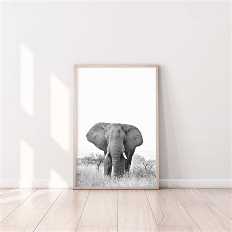 Elephant Print Black And White Elephant Print Elephant Etsy Australia