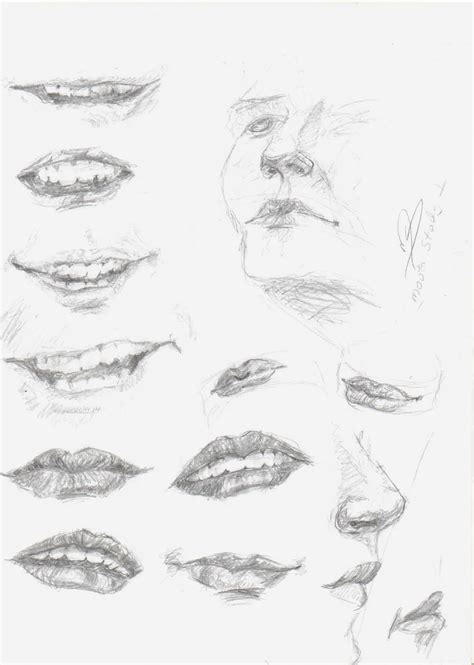 Now add the lip lines that go all over the lips ( shading will come next, these can be medium light with an h pencil so they show through shading.) Ako kresliť zuby | Kreslenie.sk
