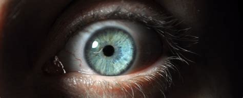 Fear Of Holes Trypophobia Eyes