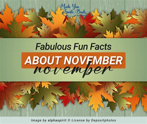 Fabulous Fun Facts About November Made You Smile Back
