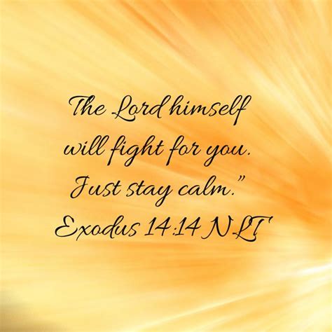Exodus 1414 The Lord Himself Will Fight For You Just Stay Calm