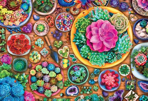 4.7 out of 5 stars. Buffalo Games - Succulent Season - 2000 Piece Jigsaw ...