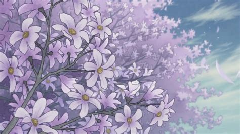 100 Anime Flower Wallpapers