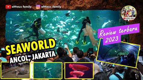 Seaworld Ancol Review Lengkap Wisata Jakarta Youtube
