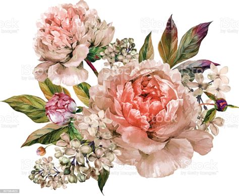 Vintage Floral Bouquet Of Peonies Stock Vector Art And More Images Of