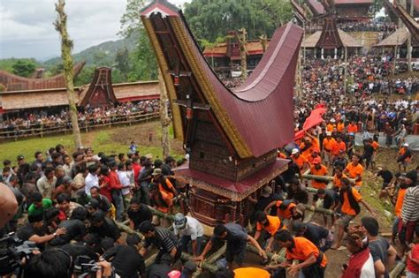 Tana Toraja Funeral Procession In South Sulawesi Indonesia Indonesian