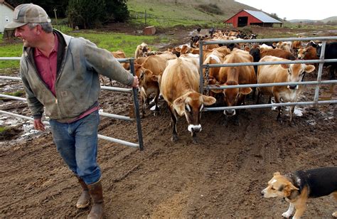 Dairy Farmers Lumberjacks Make Worst Jobs List Stateimpact Idaho
