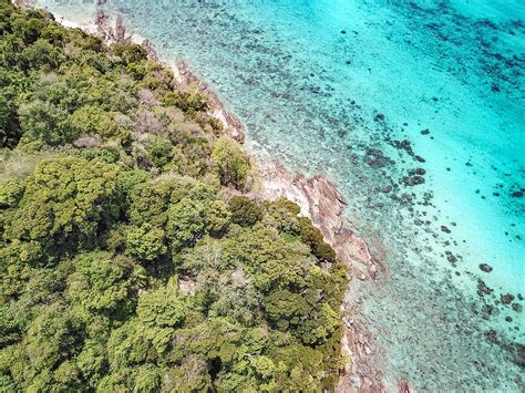 Hd Wallpaper Aerial Photography Of Island With Trees Near Ocean