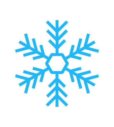 Ice Crystal Snowflake Vector Design Shop By Aquadigitizing