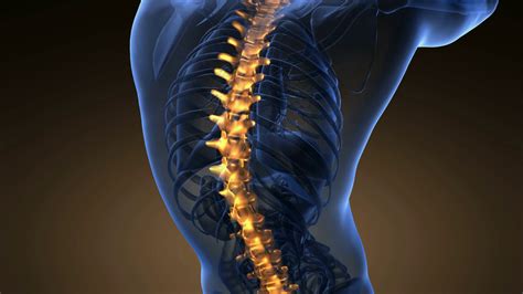 Backbone Backache Science Anatomy Scan Of Human Spine Bones Glowing