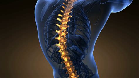 Backbone Backache Science Anatomy Scan Of Stock Footage SBV-309923560