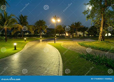 Road In Resort Park At Night With Palm Trees On Background Stock Image