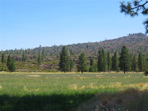 Hat creek was great for this. Hat Creek Ranch - California Outdoor Properties