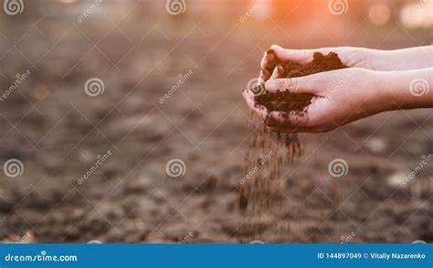 The Hands Of The Farmer Crush With Pour Out The Soil Over The Field