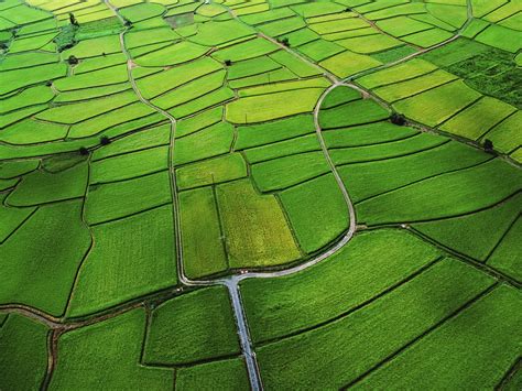 Agriculture Wallpaper 4k Farm Land Countryside Aerial View Green