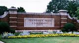 University Of Tennessee Graduate Programs Photos
