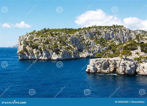 calanques de pin de port dans le cassis provence france image stock image du beauté île