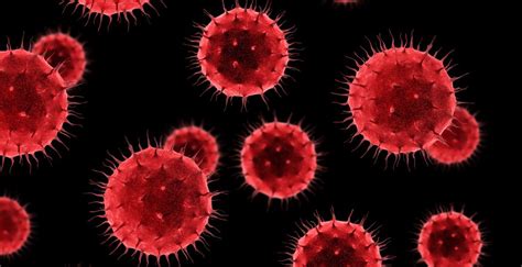 Virus, Sejarah Penemuan, dan Ciri-Cirinya