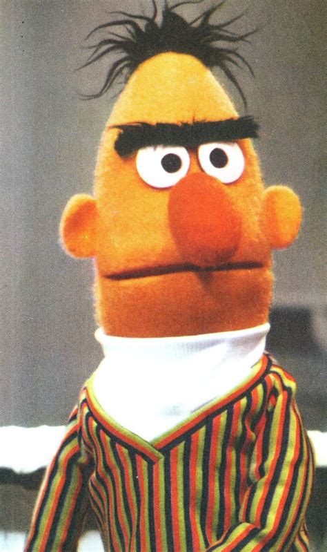 Bert Sesame Street Stare