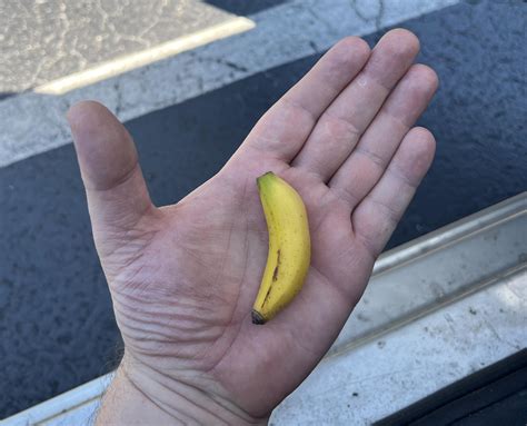 Absolute Unit Of My Hand Banana For Scale Rabsoluteunits