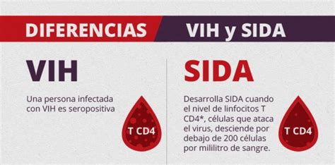 Sida Y Vih Qué Es Síntomas Tratamiento Avances E Imágenes