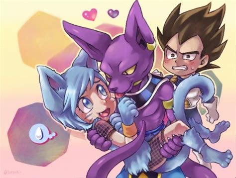 Colors Live Bulma And Beerus By Orochi