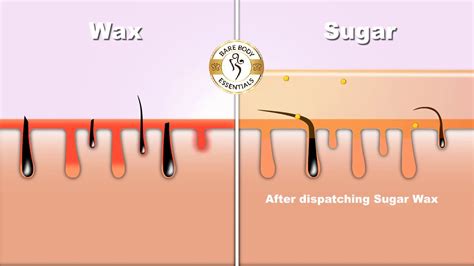 waxing vs sugaring youtube