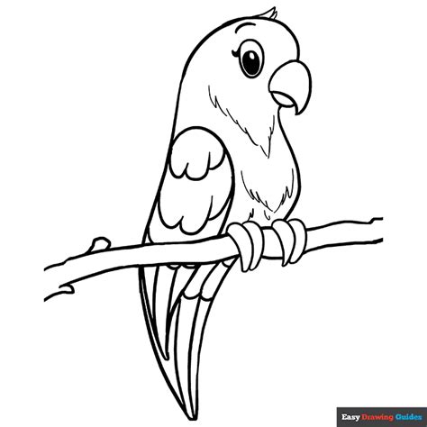 Free Printable Bird Coloring Pages For Kids