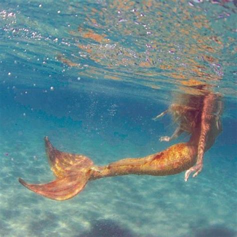 Lista 98 Foto Imagenes De Sirenas Reales Encontradas Vivas En El Mar Cena Hermosa