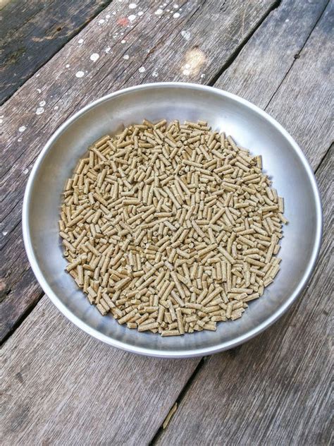 Animal Food Stock Image Image Of Wooden Pellets Agriculture 80926427