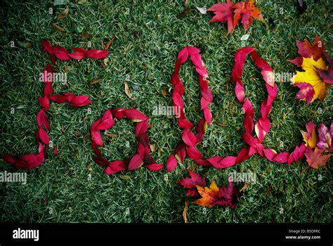 Fall Word High Resolution Stock Photography And Images Alamy