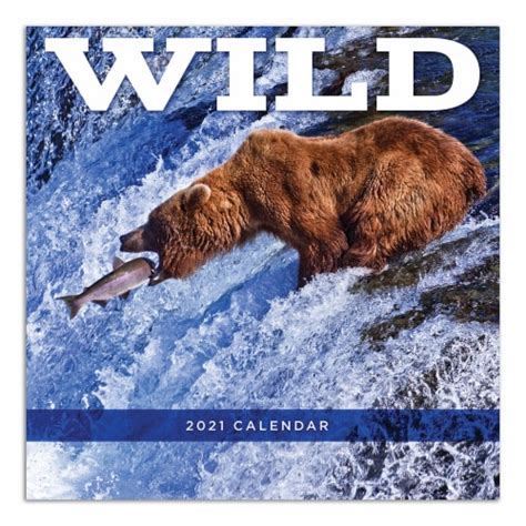Tf Publishing Wild 2021 Wall Calendar 1 Ct Fred Meyer