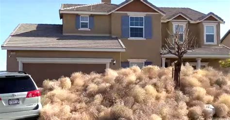 Terrifying Tumbleweeds Take Over California City, Trapping Residents