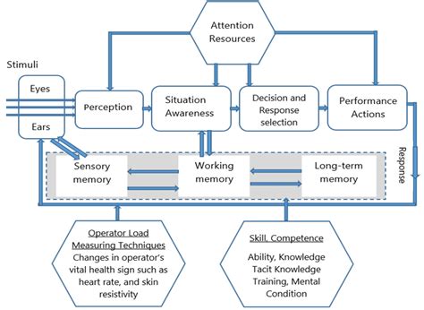 The Improved Model Of Human Information Processing And Decision Making