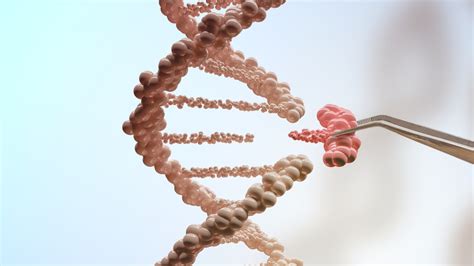 Complete Human Genome Sequenced By Scientists After Two Decade Long Study