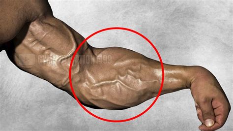 Exercises To Get Veins Forearms Youtube