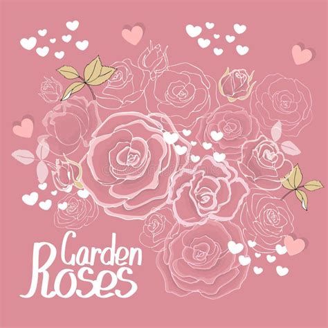 Vector Pink Roses And Leaves On Pink Stock Vector Illustration Of