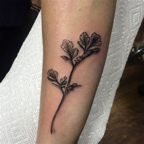 A Small Cilantro Leaf Darkagetattoostudio Cap Tattoos