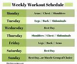 Muscle Workout Schedule Photos