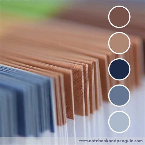 9 Lovely Blue And Brown Color Palettes With Hex Codes