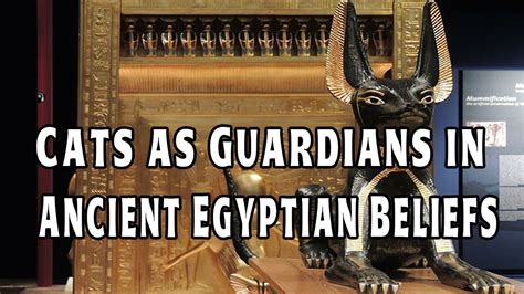 Why Did Ancient Egyptians Worship Cats Youtube
