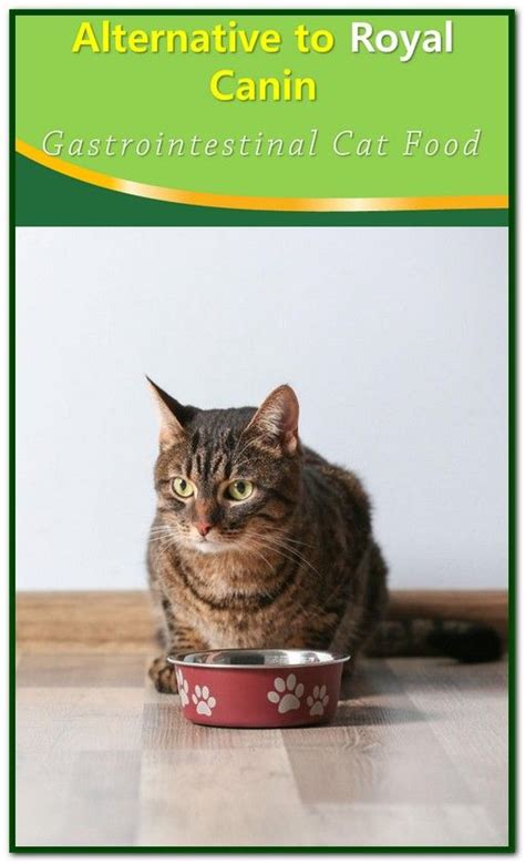 Gastrointestinal veterinary diet, wet food. Alternative To Royal Canin Gastrointestinal Cat Food | Cat ...