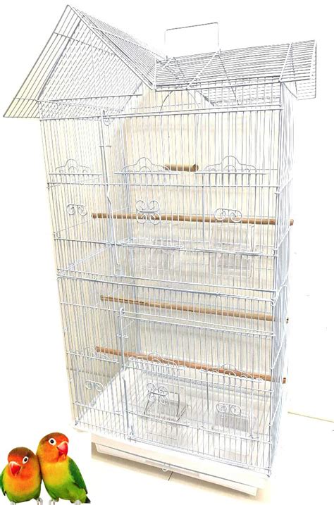 10 Best Hanging Finch Bird Cages For Your Feathered Friends