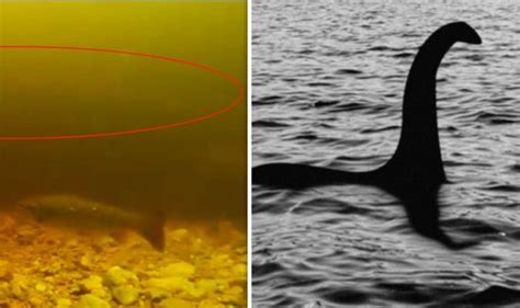 Loch Ness Monster Proof Video Shows ‘monster In Lake Science News