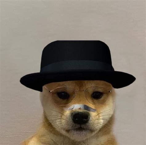 Funny Dog Hat Meme Cute Shiba Inu With Hat And Glasses