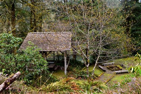Maybe you would like to learn more about one of these? Sol Duc River Log Cabin (Beaver, WA) - ACTUALIZADO 2020 ...