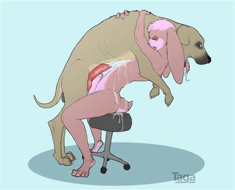 Rule 34 Anthro Anthro On Feral Balls Canine Chair Cum