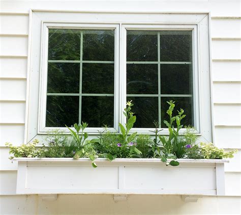 Planting The Window Box The Impatient Gardener