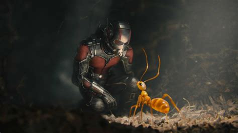 Ant Man Wallpapers 75 Pictures