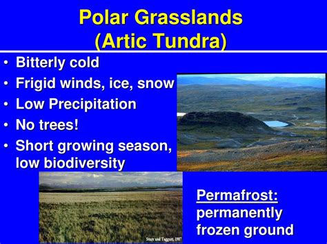 Ppt Polar Grasslands Artic Tundra Powerpoint Presentation Free